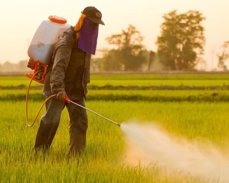 Pesticide
