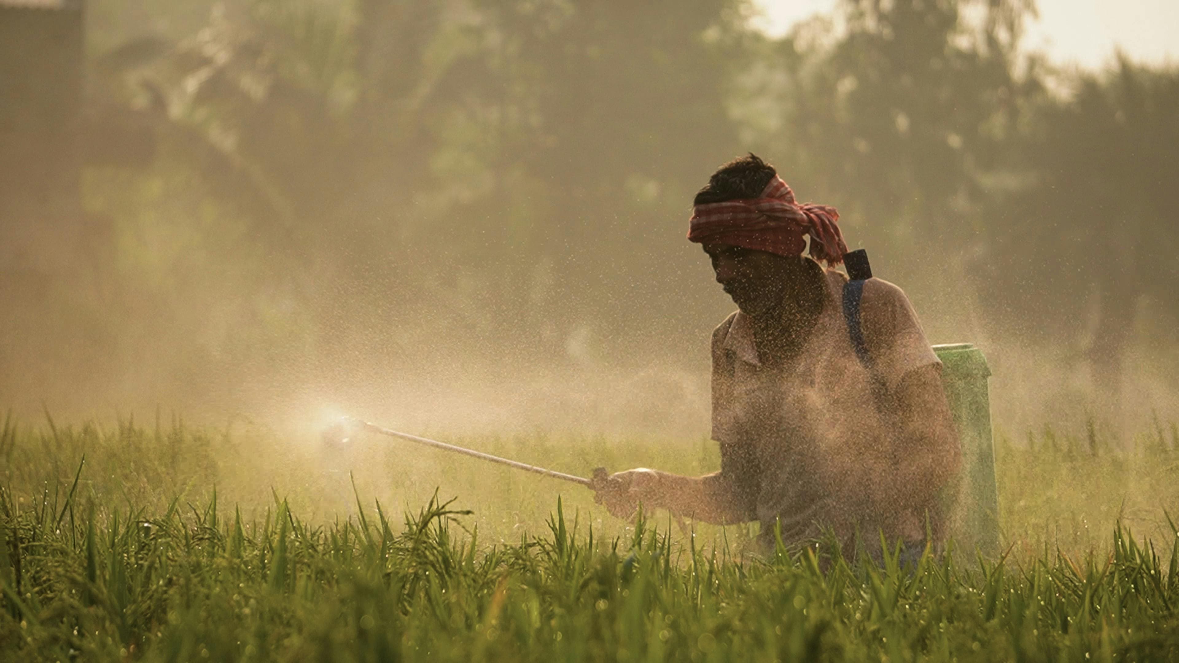 Herbicide application in agricultural field