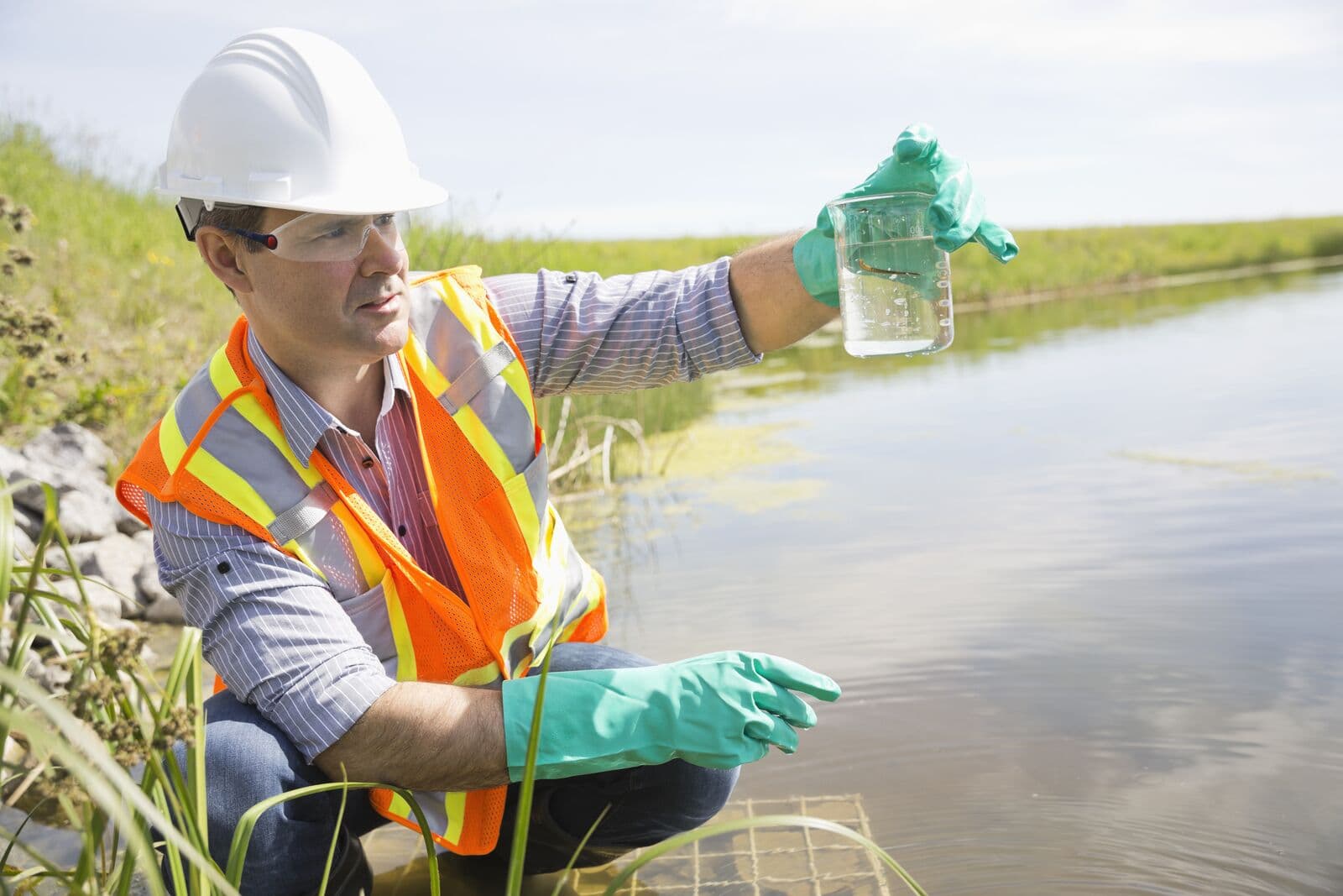 Soil testing and analysis in agricultural laboratory